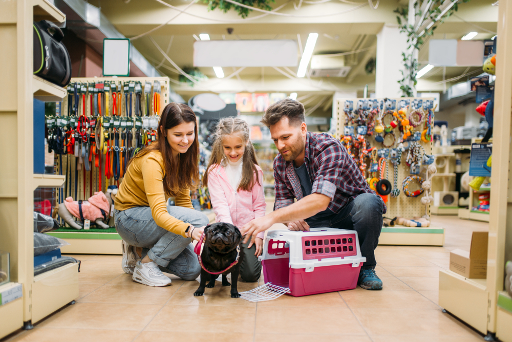 How Much Do Pets Really Cost?