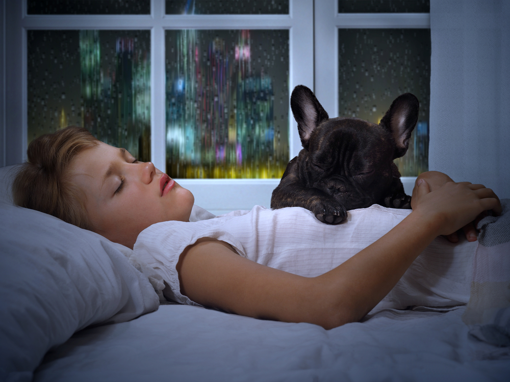 Could rain sounds be the key to a good night’s sleep?
