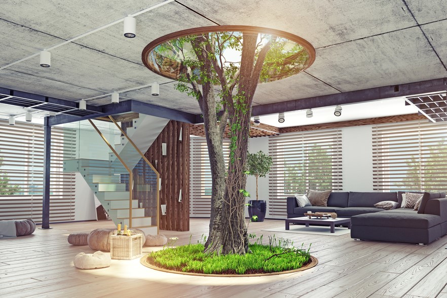 Here’s how you can grow a tree inside the house￼